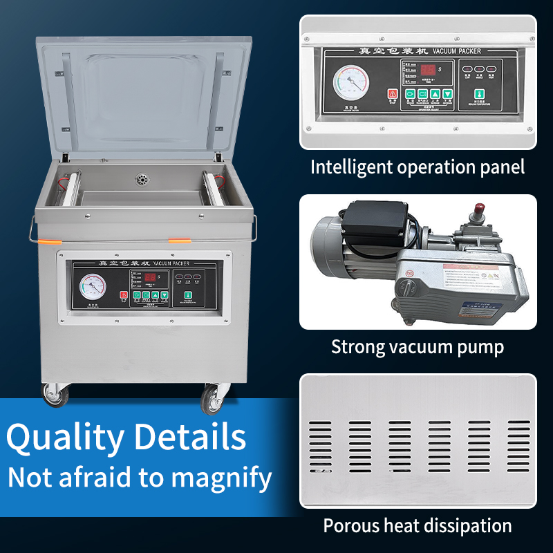 DZ-500 Professional Electric C - Food Storage For Long Term review and price