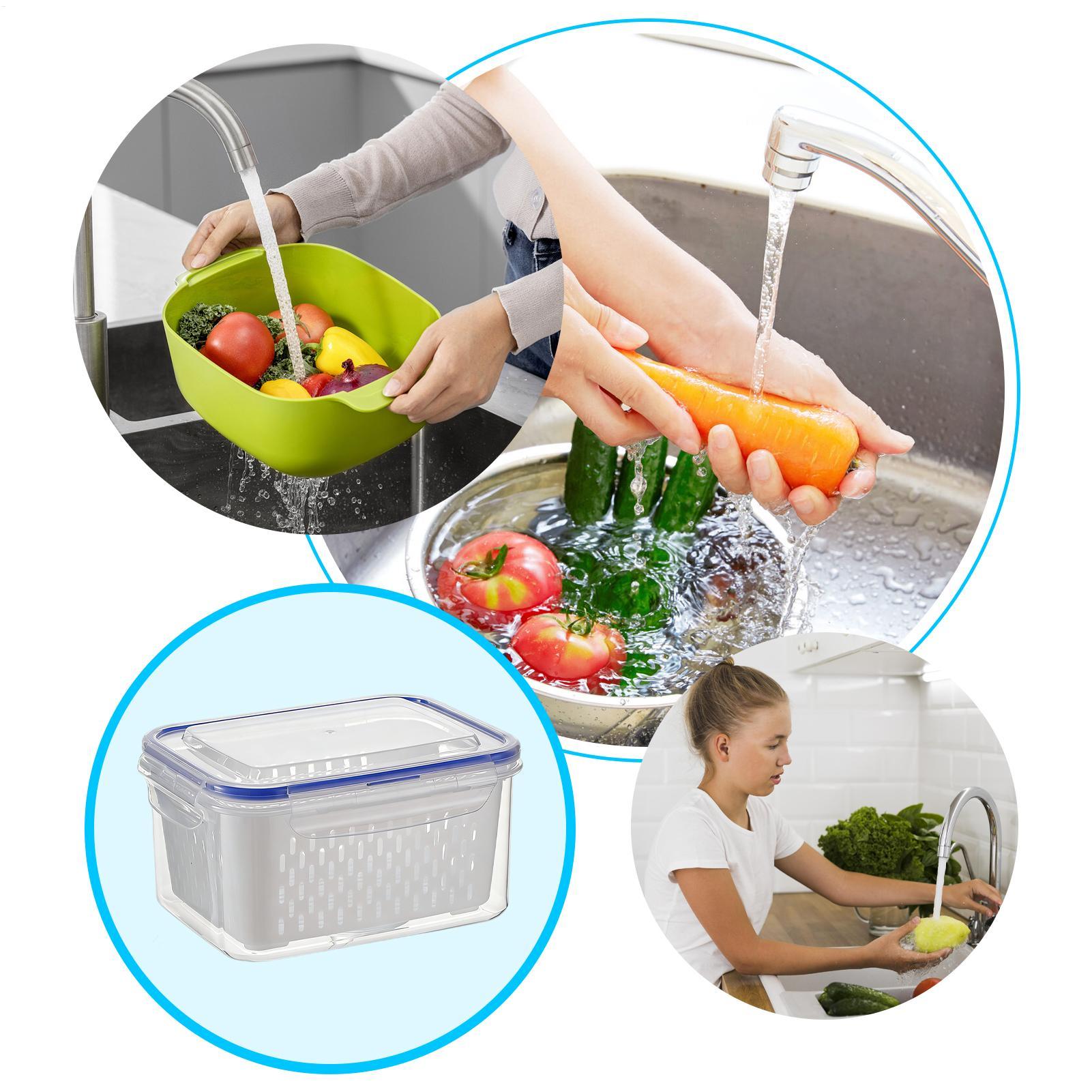 4 In 1 Food Storage Container  - Food Storage Refrigerator review and price